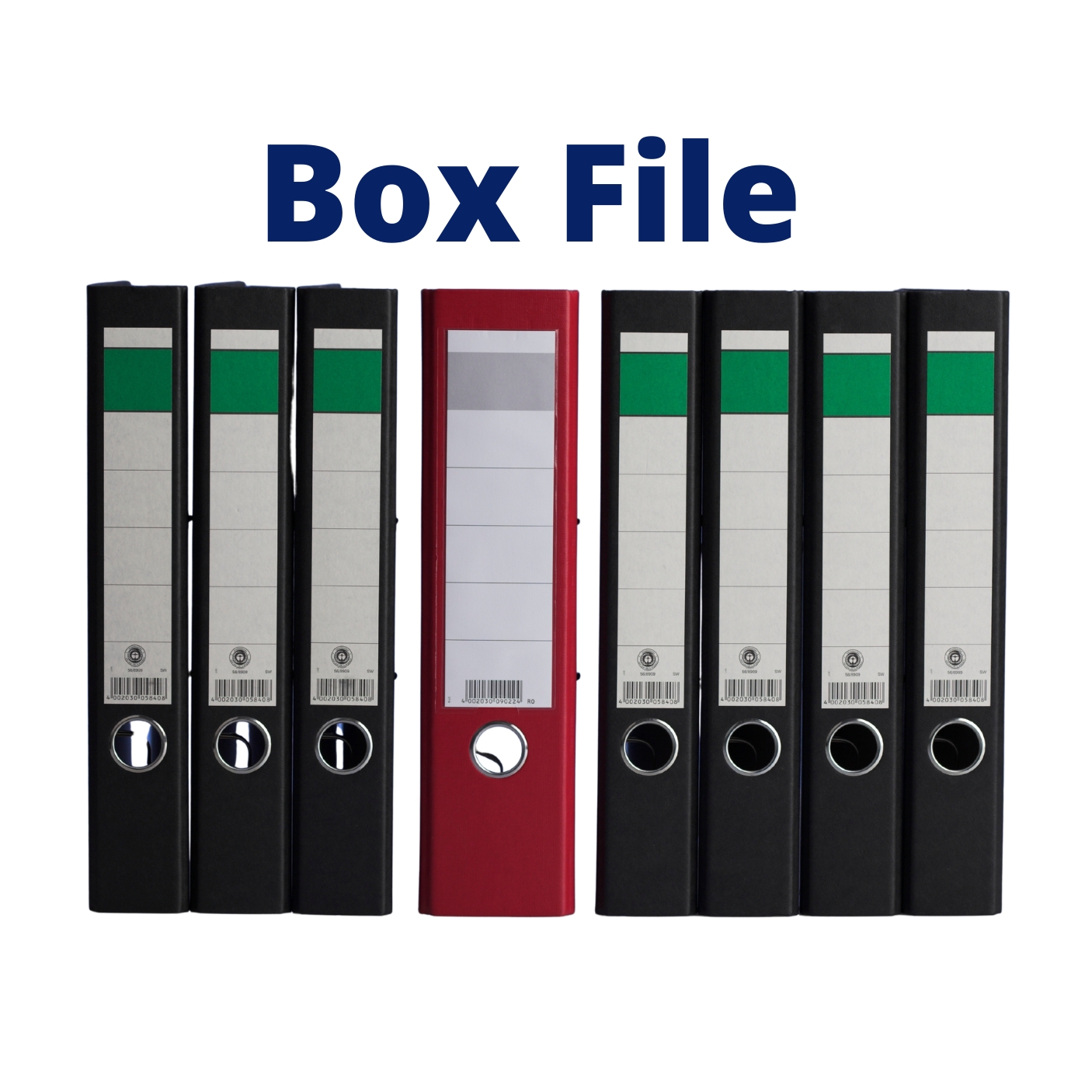 Box/Lever Arch Files